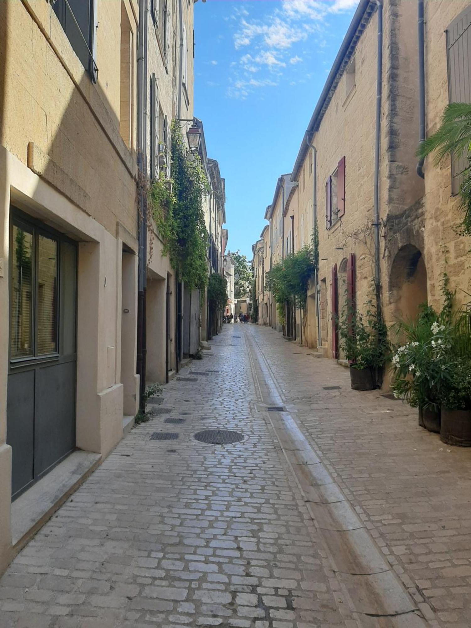 Appartement Avec Grand Jardin Et Parking, Uzes Bagian luar foto